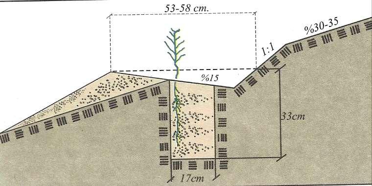 Kanallı gradoni tipi teras Kanallı gradoni teraslar; arazi eğimi %60 a kadar olan sahalarda uygulanır.
