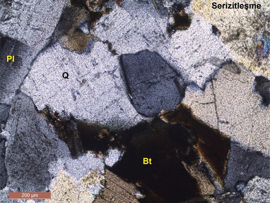 46 Şekil 4. 14: Erdek granitinin mikroskopta genel görünümü (Q: kuvars, Pl: plajiyoklaz, Bt: biyotit, ) (Çift Nikol, 25X) 4.2.1.6. Kestanbol Bölgesi (Çanakkale) Çanakkale ili, Ezine ilçesi Kestanbol bölgesinde sahada yapılan gözlemlerde granitik kayaçlar kuvarsmonzonit olarak tanımlanmıştır.