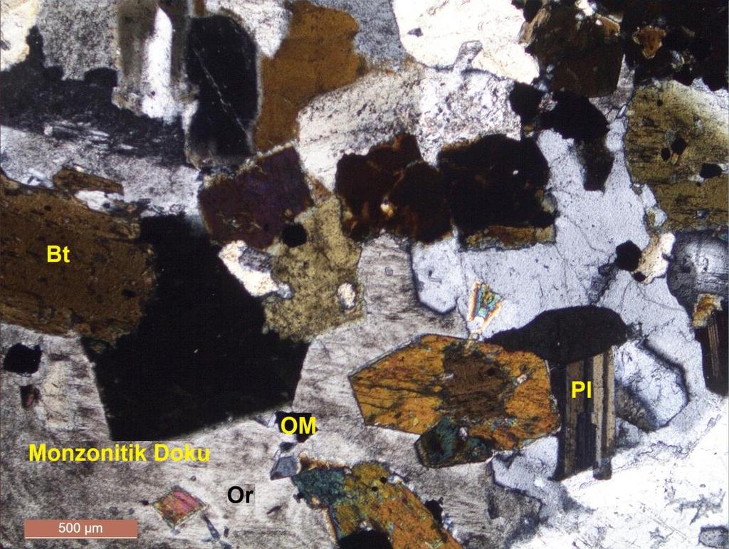 47 bu mineraller içerisinde kapanım olarak bulunmakta ve monzonitik bir dokuyu oluşturmaktadır (Şekil 4.15).