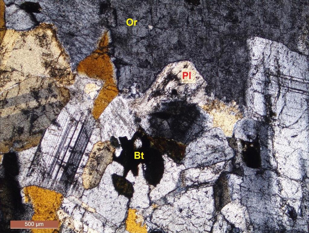 49 Şekil 4. 16: Kozak granodiyoritinin polarizan mikroskobundaki görüntüsü ( Or: Ortaklaz, Pl: plajiyoklaz, Bt: biyotit, Q: kuvars) (Çift Nikol, 25X) 4.2.1.8.