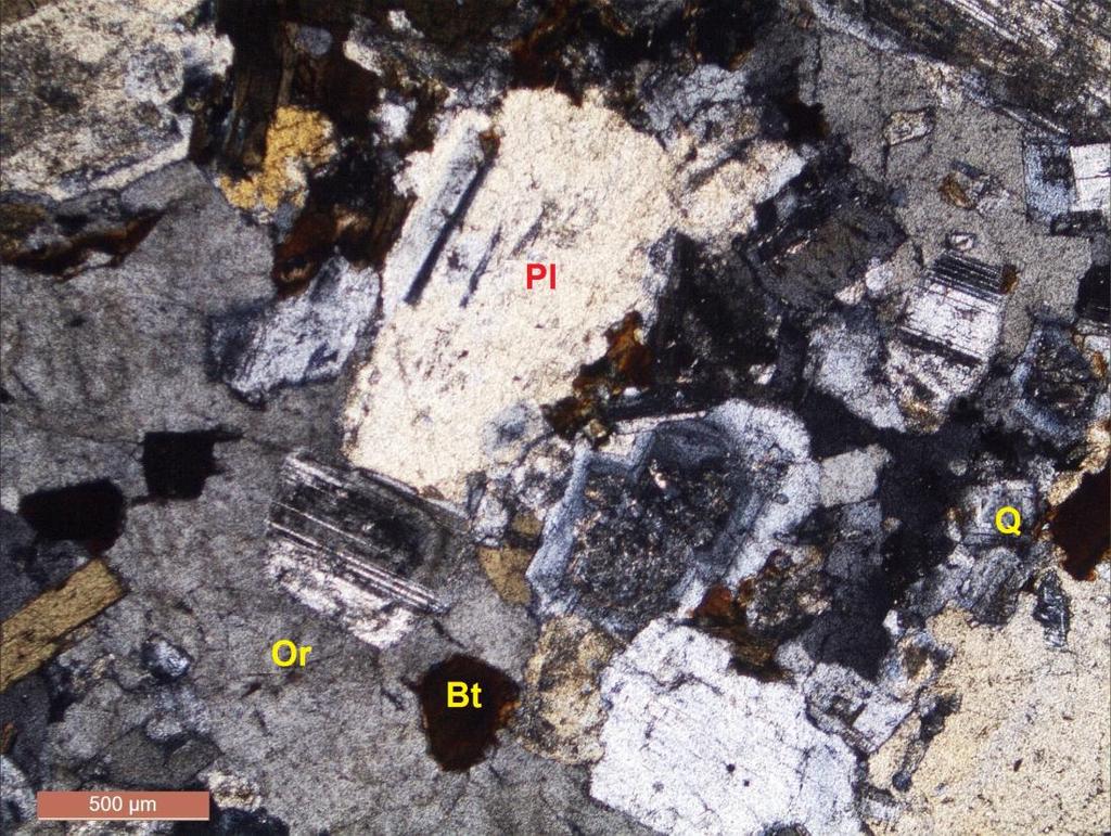 55 Şekil 4. 21: Tamzara granitinin polarizan mikroskobundaki genel görüntüsü ( Q: kuvars, Pl: plajiyoklaz, Bt: biyotit, Or: ortaklaz) (Çift Nikol, 25X) 4.2.1.12 Asarcık Tamdere Bölgesi (Giresun) Giresun ili, Asarcık ilçesi, Tamdere bölgesinde yapılan arazi çalışmlarında kayaç monzodiyorit olarak adlandırılmıştır.