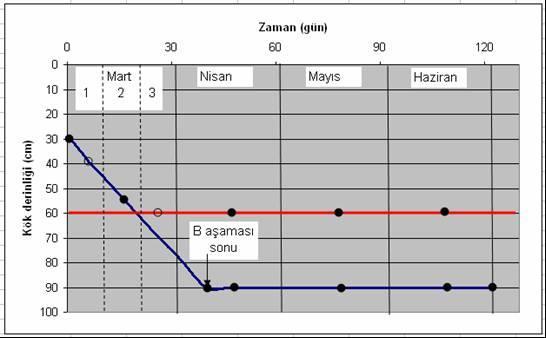 2. Mart ayında etkili toprak derinliği zaman boyutunda değişim göstermektedir, diğer aylarda sabittir.