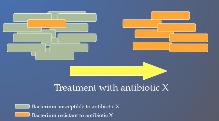 Antimikrobiyal yönetim uygulamaları Antimikrobiyal kullanım kısıtlaması ve onay Onay gerektiren antimikrobiyaller