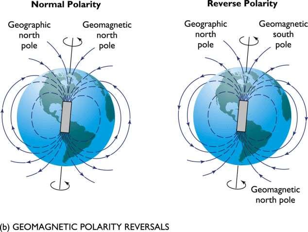 Paleomanyetik alanın Keşfi William Gilbert (1930 lar) Dünya nın magnetik alanı 3.