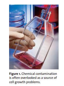 Büyük Hücre Kültür Kontaminasyonları Kimyasal kontaminasyon Kimyasal kontaminasyon, kültür sistemi üzerinde istenmeyen etkilere sebep