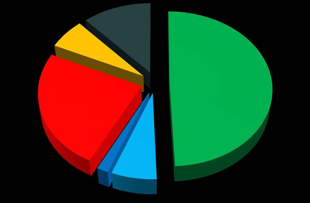 Denizyolu 2017 Yılı Toplam Elleçleme Dağılımı Kabotaj Yükleme 6%