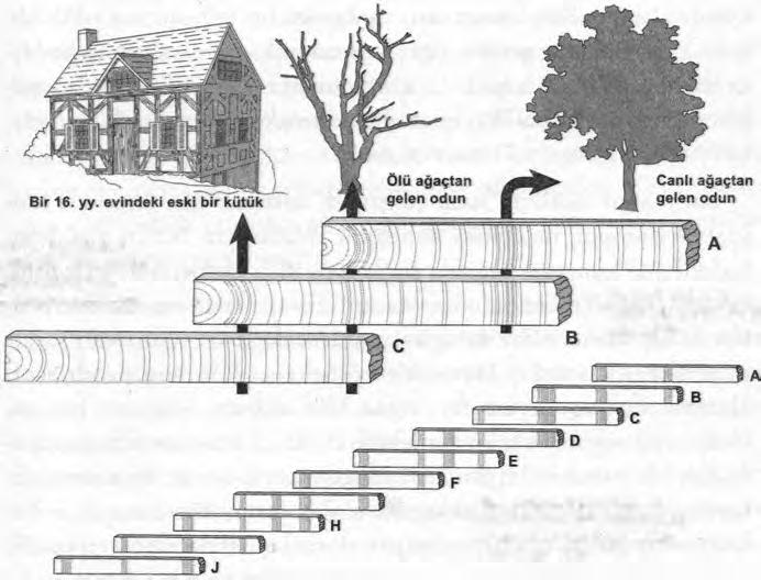 SESSİZLİK ve YAY ZAMAN 89 eski halkalarından bir parmak izi tanımlar ve uzun zaman önce ölmüş ağaçların genç halkalarını tarayarak aynı izi bulmaya çalışırısınız.