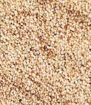 The largest part of our sesame seeds import is achieved from Nigeria, Sudan, Ethiopia, Chad, Afghanistan and South American countries.