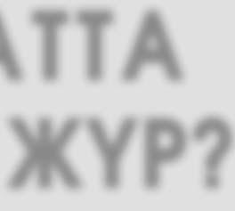 Атааналары алыста. Мен барғаннан кейін ұстаздар «ондай кітап алмадық, діни концерт болған жоқ» деген сыңайда атааналардың әрқайсысынан қолхат жаздырып алған.