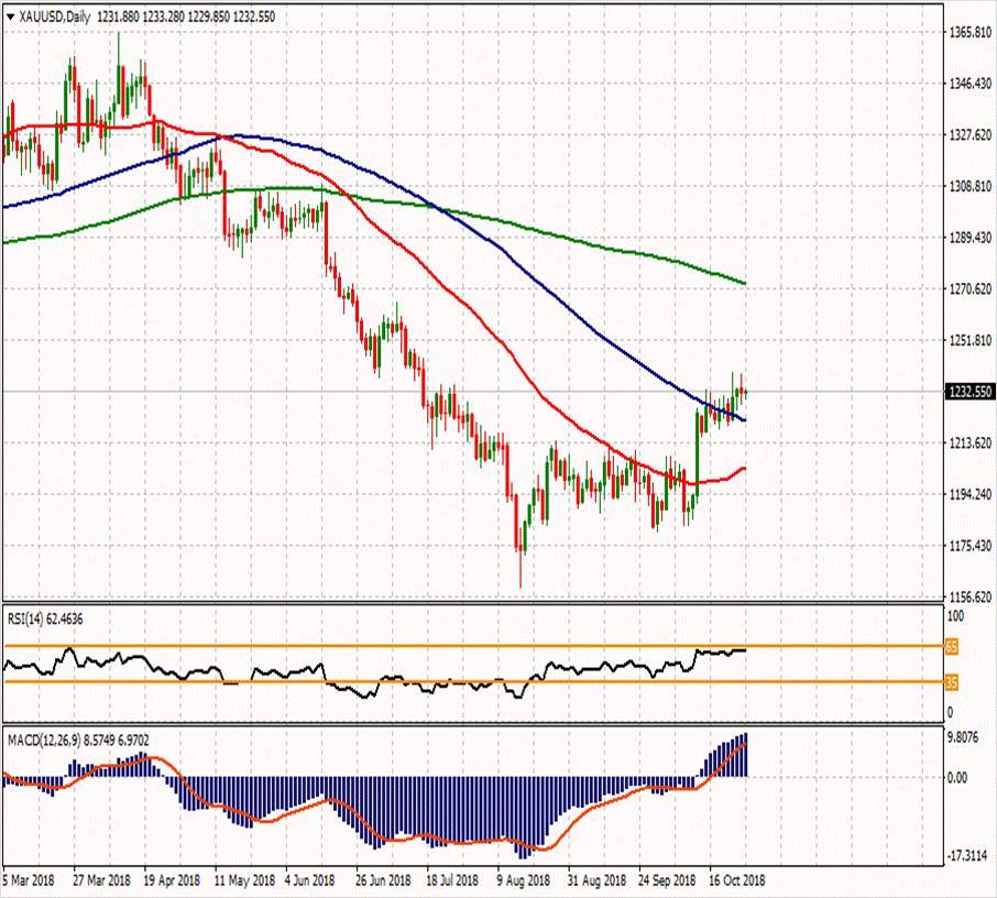 XAU/USD 26 Ekim 2018 Haftanın ikinci direnci Günün ikinci direnci 1244.25 1250.4 Haftanın ilk direnci 1241.29 Haftanın Pivot Noktası Günün ilk direnci 1230.72 1238.21 1233.2 Günün Pivot Noktası 1227.