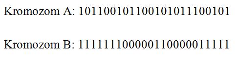33 En yaygın kullanılan kodlama yöntemidir. Sayıların ikili sistemde gösterimine dayanır. Bu yöntemde kromozomlar sıfır ve birlerden oluşan dizilerdir.