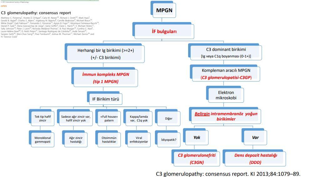 MPGN İmmun komplex aracılı MPGN kronik antijenemi veya dolaşan immun komplexlerden kaynaklanır. Kr.