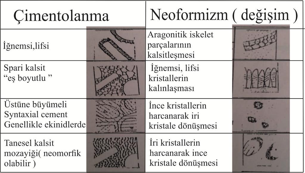 2) Aragonitin kalsite dönüşümü. Duraysız olan mineral duraylıya dönüşür.