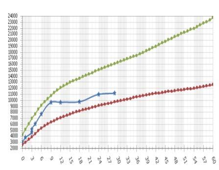 Direkt grafisinde kalp gölgesi üzerinde barsak ansı ile