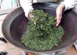 Çin in Üretiminde Farklı Çay Türlerinin Oranı Çin in yeşil çayı, üretimin