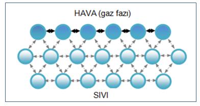 2.2 Yüzey Gerilimi Sıvılarda yüzey gerilimi, sıvının türüne göre değişen, moleküller arası çekim kuvvetleri (kohezyon kuvvetleri) olarak tanımlanmaktadır.