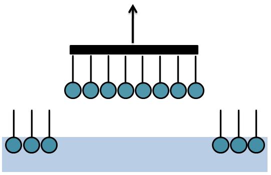 Şekil 2.11 Langmuir-Schaefer aktarım yöntemi 2.6 Langmuir Tek Tabaka Düzenlenimi ve Kararlılığı Langmuir tek tabakaları, hidrofilik (su seven) ve hidrofobik (su sevmeyen) gruplardan oluşmaktadır.