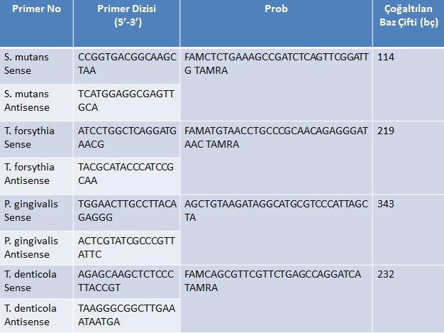 Çizelge 2.2. Mikrobiyolojik olarak incelenecek olan mikroorganizmaların primer ve probe dizileri 2.12. Verilerin İstatistiksel Analizi Öncelikle veriler ile ilgili tanıtıcı istatistikler elde edildi.