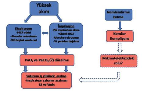 174 Yüksek Akımlı Oksijen Sistemleri / High Flow Oxygen Systems Tablo 1. YAOS nin fizyolojik etkileri.