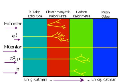 NÖTRİNOLAR??? Beni göremediler!