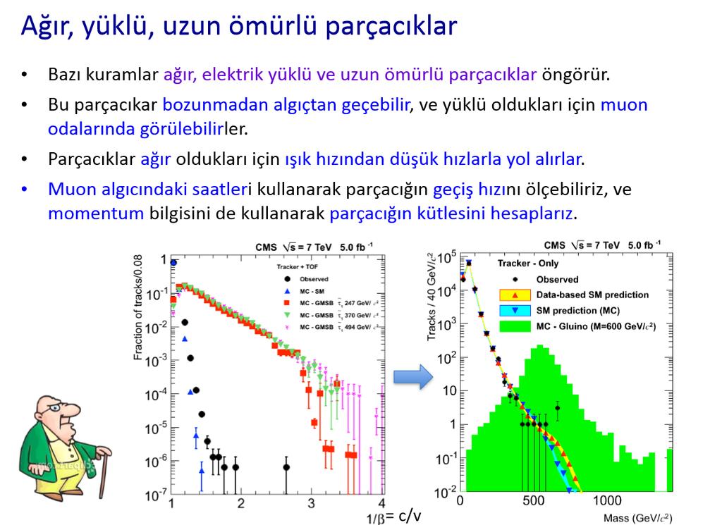 Sezen Sekmen, Güncel sorunlar ve çözüm