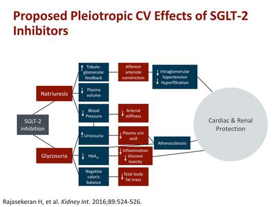 SGLT2 inhibitörlerinin