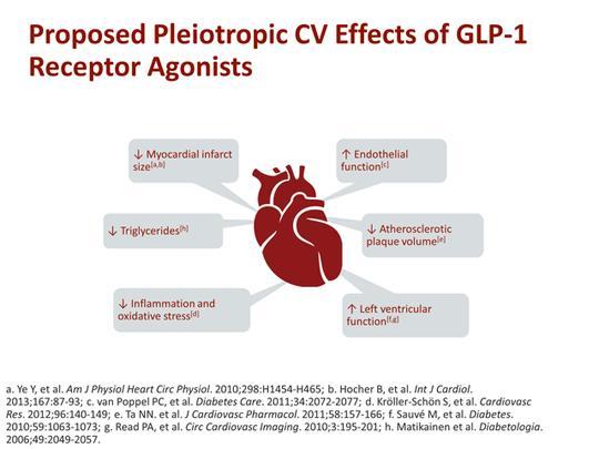 GLP1 Reseptör Agonistlerinin