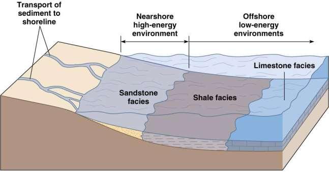 Sedimenter Fasiyes Ortam içindeki daha küçük bir bölümdür.