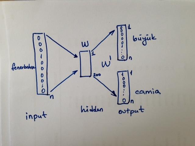 Input layer da n adet kelime olduğu için n*1 boyutunda bir vektör yer alır.