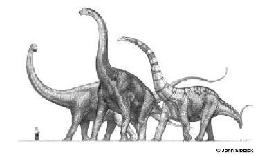 Ayak izi fosilleri Boyut Grup sayısı Ağırlık Ebeveyn bakımı Hakkında bilgi verebilir Şekil 2.7. Teksas Davenport alanındaki bir tarlada bulunan Sauropod sürüsü izlerinin kuş bakışı görünümü (1944).