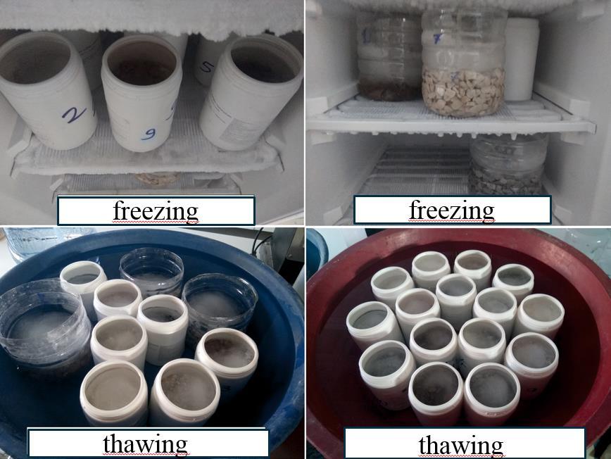 Figure 2. An image of the Freezing-Thawing test on aggregates. 2.2.2. SALT CRYSTALLIZATION (TS EN 1367-2, 2010) For salt crystallization, MgSO4 solution was prepared by slowly adding 1500 grams to 1 liter of water.