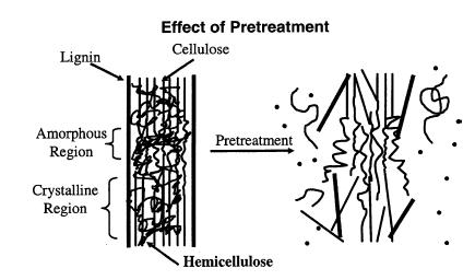kristal yapısının bozulması ve biyokütlenin porozitesinin arttırılması hedeflenmektedir (Sun ve Cheng 2002). Ön işlemin lignoselülozik biyokütle üzerindeki etkisi şekil 2.