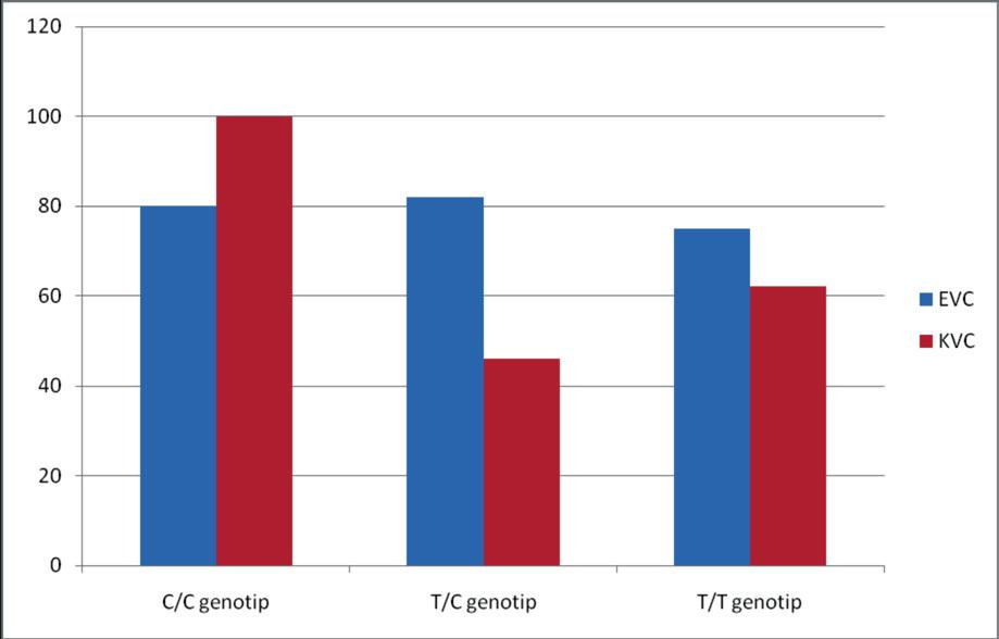 3, tanımlanamayan %.6 olarak bulunmuştur (Şekil 3). Hastalarda erken virolojik yanıt CC genotipinde %80, genotipinde %75, genotipinde %82. olarak bulunmuştur. Erken virolojik yanıt açısından IL28B genotipleri arasında istatistiksel olarak anlamlı bir fark bulunmamıştır.
