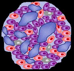 DPP-4 inhibitörleri DPP-4 inhibitörleri GLP-1 yıkımını engeller