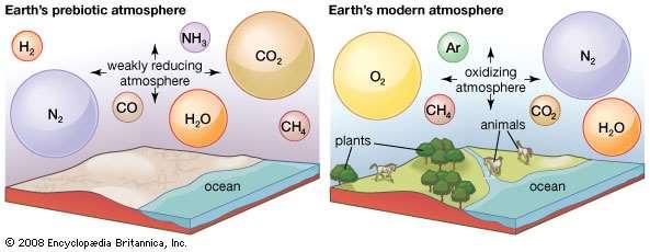 Atmosfer nasıl oluştu? Fotosentezli yaşam, atmosferde varolan bol miktardaki CO2 i azaltı; serbest oksijeni çoğalttı. Bu da sığ denizlerde mavi-yeşil-alglerden oluşan stramatolitler sayesinde oldu.