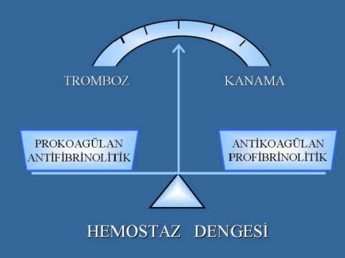 HEMOSTAZ Etkin bir Hemostaz için Sağlam damarlar Yeterli sayı ve fonksiyon gösteren trombositler