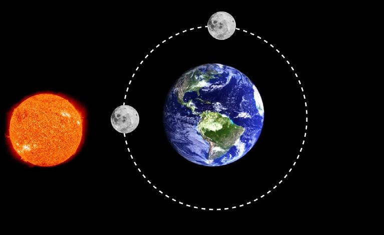 Ay ın Hareketleri ve Evreleri 6. ünya, Güneş ve Ay ın hareketleri ile ilgili karşılıklı fikir alışverişinde bulunan Ali ve ilek şu sonuçlara varmışlardır.