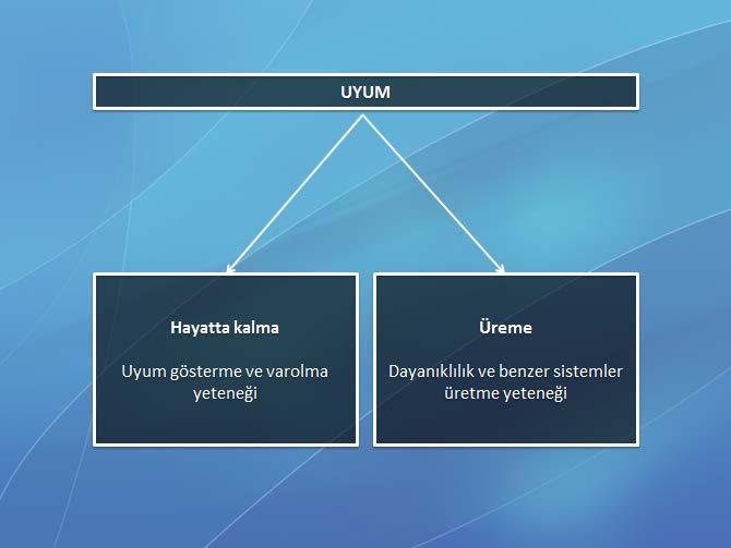 Uyum Yüzeyi