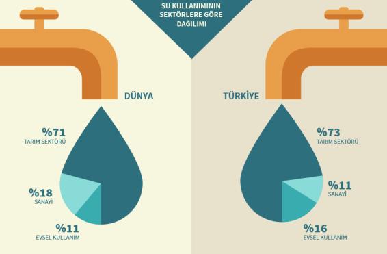 Her yıl 250 milyon kişi suyla gelen hastalıklara yakalanırken, 5 ila 10 milyon kişi bu