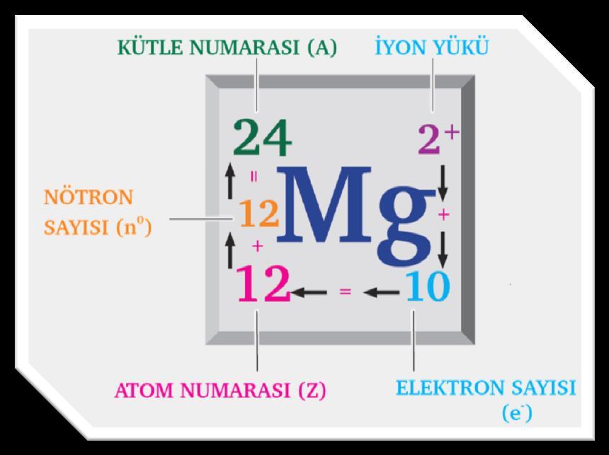 Nötr bir atomda Atom numarası = Çekirdek yükü = Proton sayısı = Elektron sayısı Kütle Numarası=ps +ns Atomdaki toplam tanecik sayısı=ps +es + ns