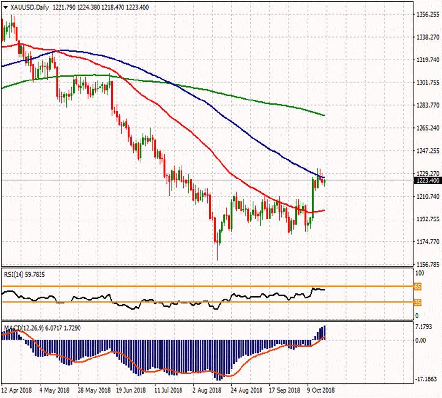 XAU/USD 18 Ekim 2018 Haftanın ikinci direnci Günün ikinci direnci 1233.08 1241.84 Haftanın ilk direnci 1232.07 Haftanın Pivot Noktası Günün ilk direnci 1223.55 1227.68 1224.