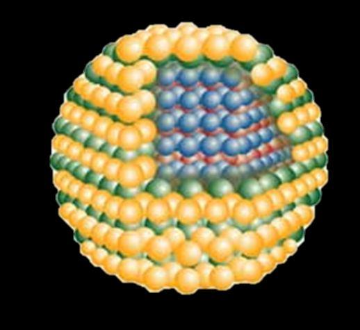 4.Tıbbi görüntüleme: Nanobiyoteknoloji ile yüksek flüoresans yayan farklı moleküler boyutlardaki yarı iletken nanokristaller olan Quantum Dot'lar kullanılmaktadır.