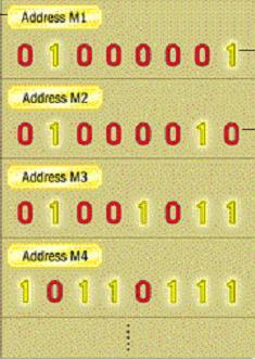 Memory Main memory consists of a number of storage locations, each of which is identified by a unique address The ability of the CPU to identify each location is known as its addressability Each