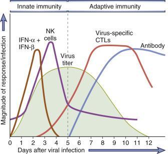 Antiviral