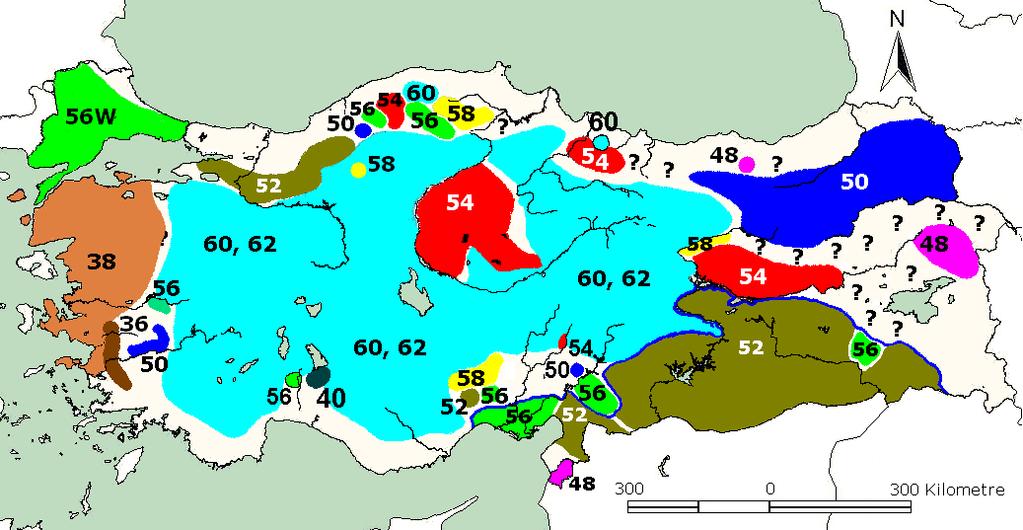 STASİPATRİK