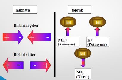 İYON DEĞİŞİMİ Toprak Katı