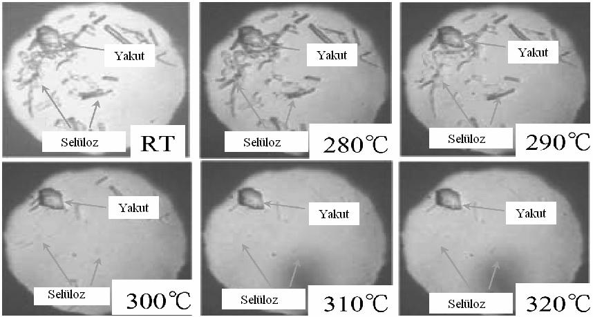 lignin dönüşümünden elde edilebilmektedir (Alder 1977). Ligninden vanilin üretimi de yapılabilmektedir (Matsumura et al. 2006).