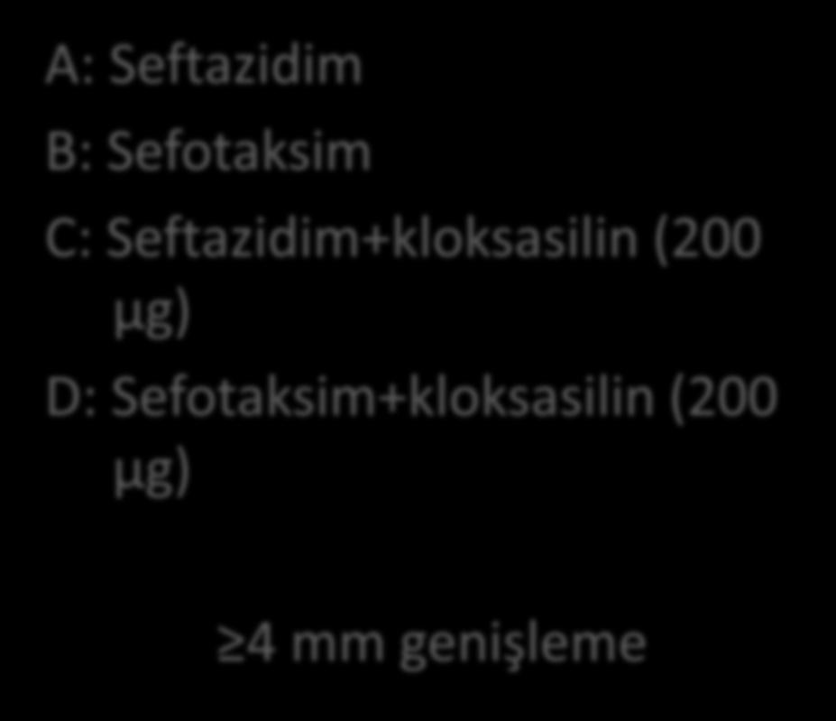 AmpC A: Seftazidim B: