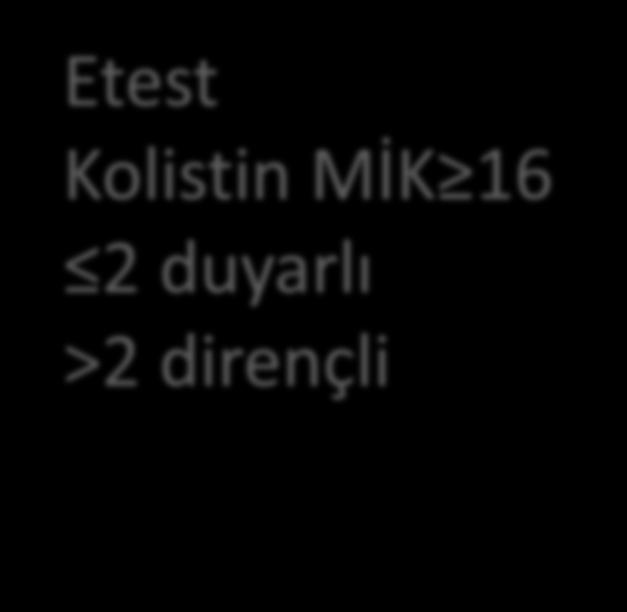 1) Disk difüzyon 2) MİK