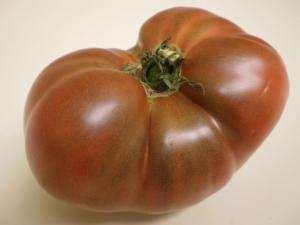 ÖRNEK: Yeşil etli domatesler Cherokee Purple" domates çeşidinde meyve olgunlaşmasına ve meyveye kırmızı rengi veren likopen artmasına rağmen meyvede bulunan klorofil paslı-kırmızı renk oluşmasına